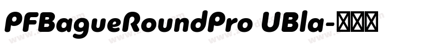 PFBagueRoundPro UBla字体转换